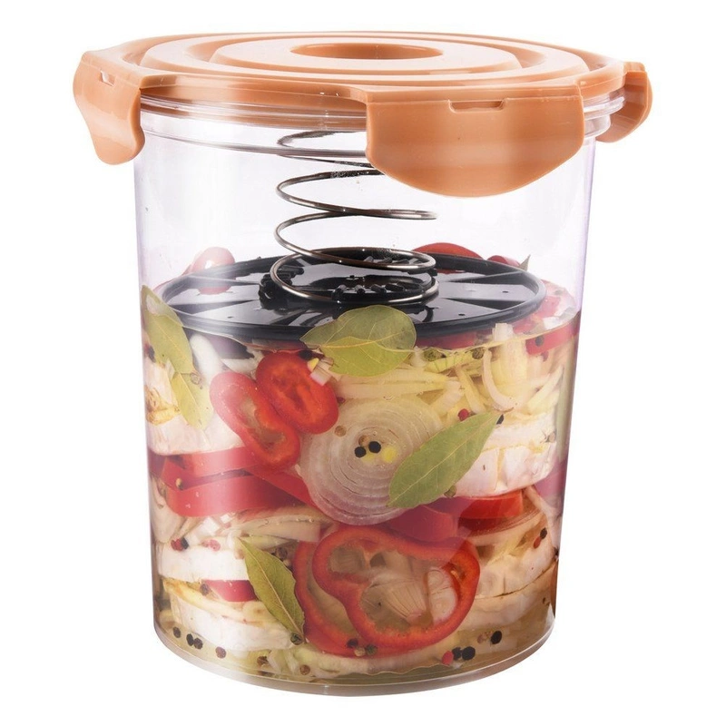 ORION Container for pickling food 4L with spring